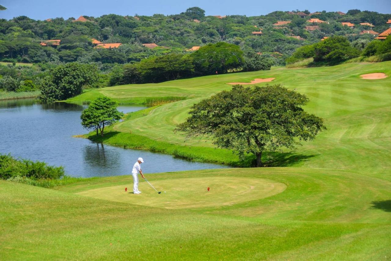501, Zimbali